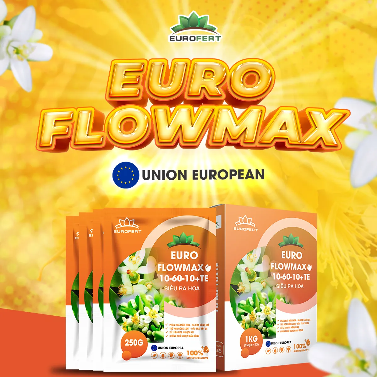 Euro Flowmax